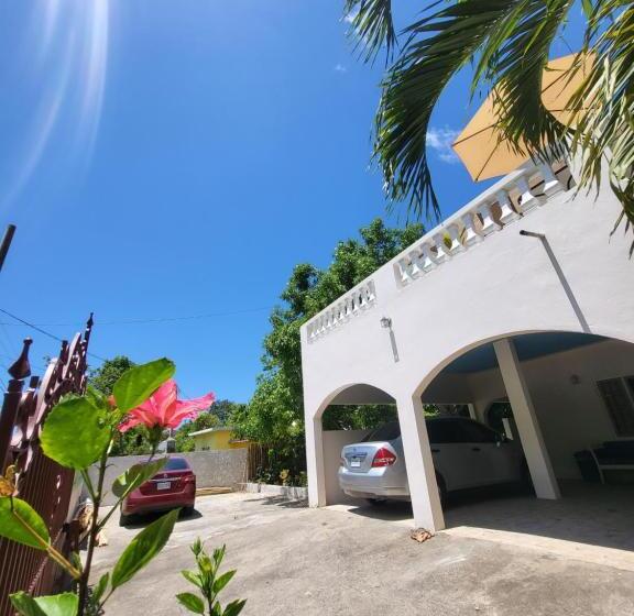 اتاق استاندارد, Green's Palace Jamaica
