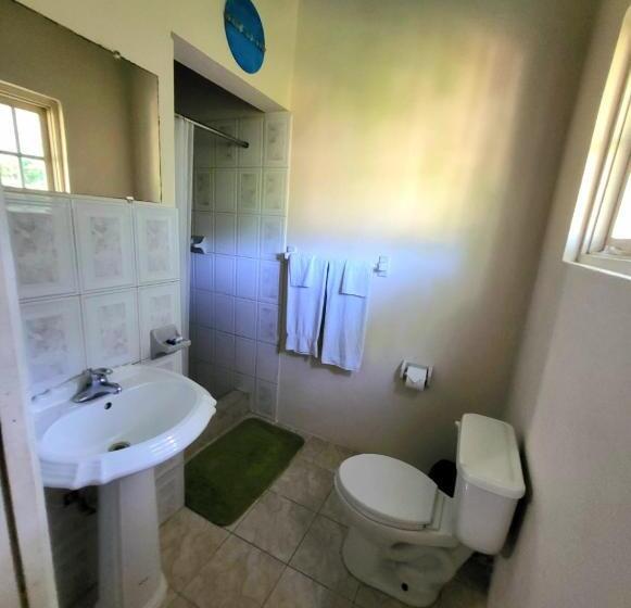 اتاق استاندارد, Green's Palace Jamaica