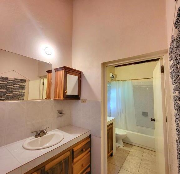 آپارتمان 3 خوابه, Green's Palace Jamaica