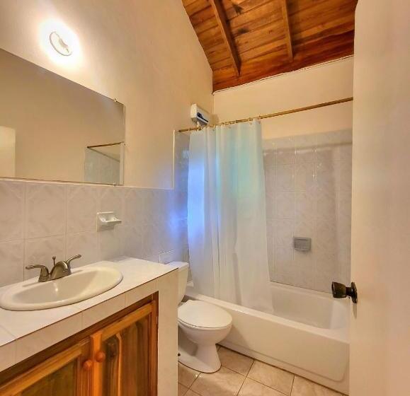 آپارتمان 3 خوابه, Green's Palace Jamaica