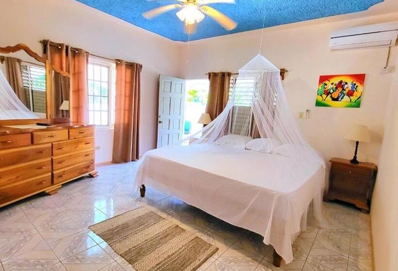 اتاق استاندارد, Green's Palace Jamaica