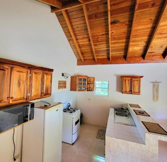 آپارتمان 3 خوابه, Green's Palace Jamaica