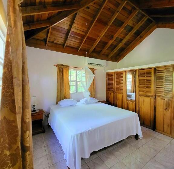 آپارتمان 3 خوابه, Green's Palace Jamaica