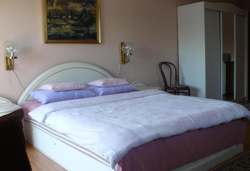 バルコニー付きスタンダードステューディオ, Hejő Apartman