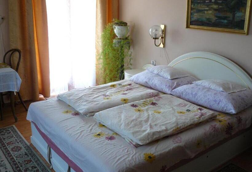 סטודיו סטנדרט עם מרפסת, Hejő Apartman