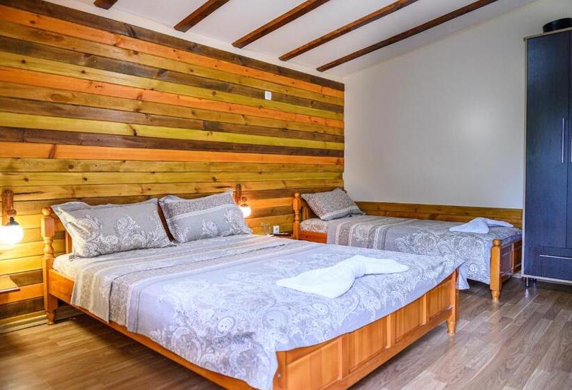 اتاق استاندارد, Medi Guest House