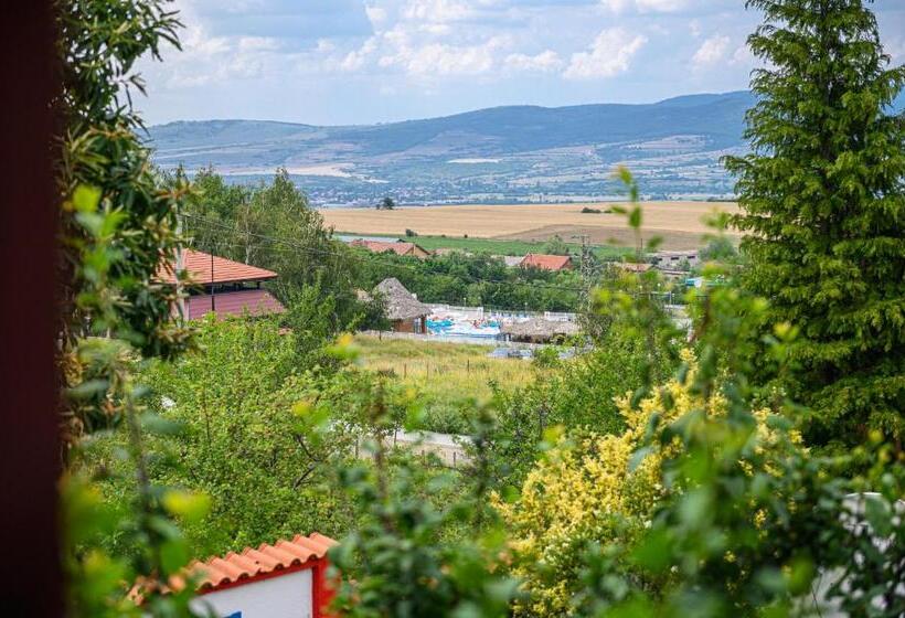 اتاق استاندارد با بالکن, Medi Guest House