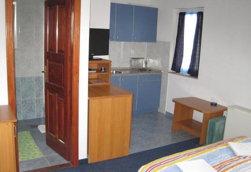 استودیو استاندارد با چشمانداز دریا و بالکن, Villa Obad Guest House