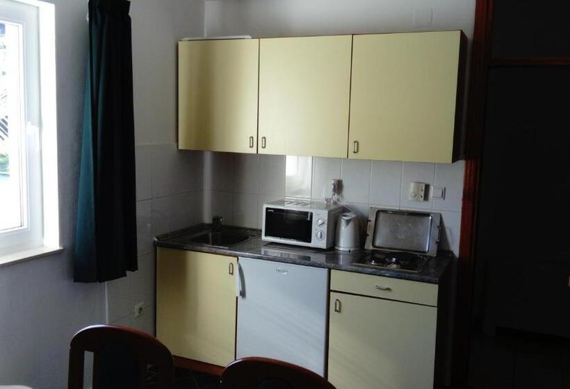 آپارتمان 1 خوابه با چشمانداز دریا, Villa Obad Guest House