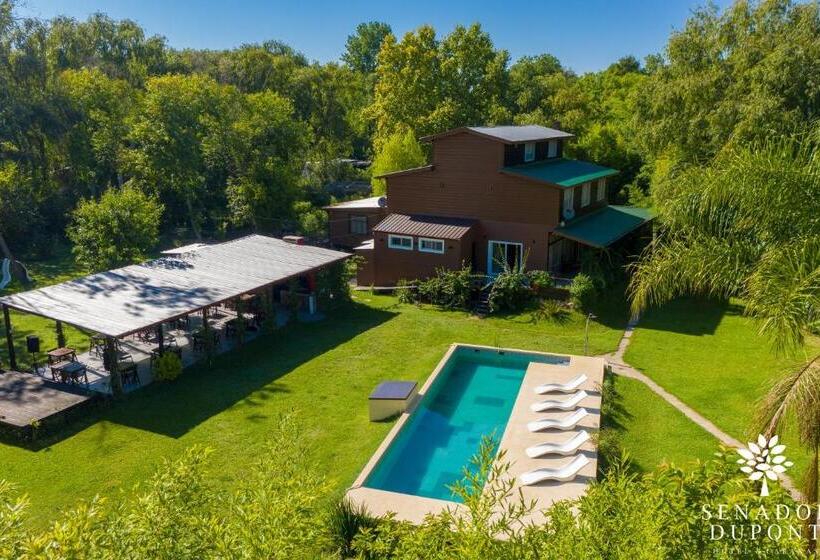 Номер Economy, Senador Dupont