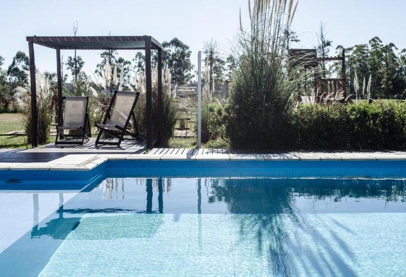 آپارتمان 1 خوابه, Amanzi Termal Rental