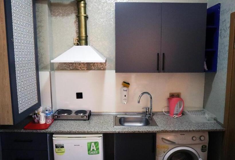 Standard Room with Kitchen, Grand Onur