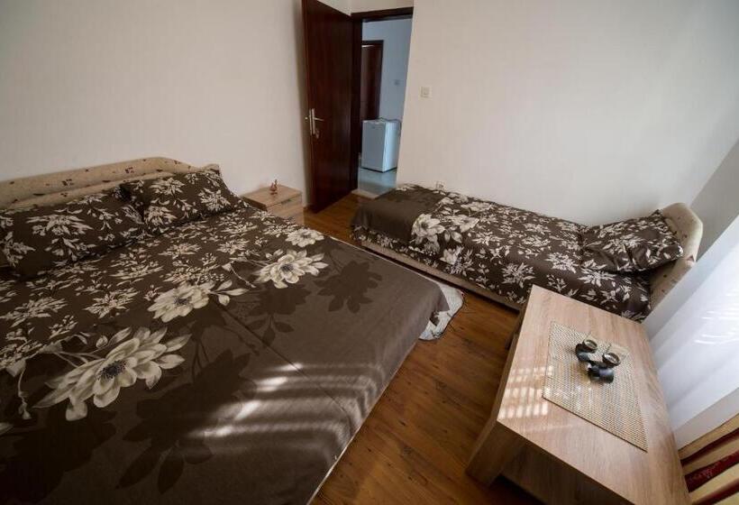 غرفة قياسية ثلاثية حمام مشترك, Apartments Pavićević