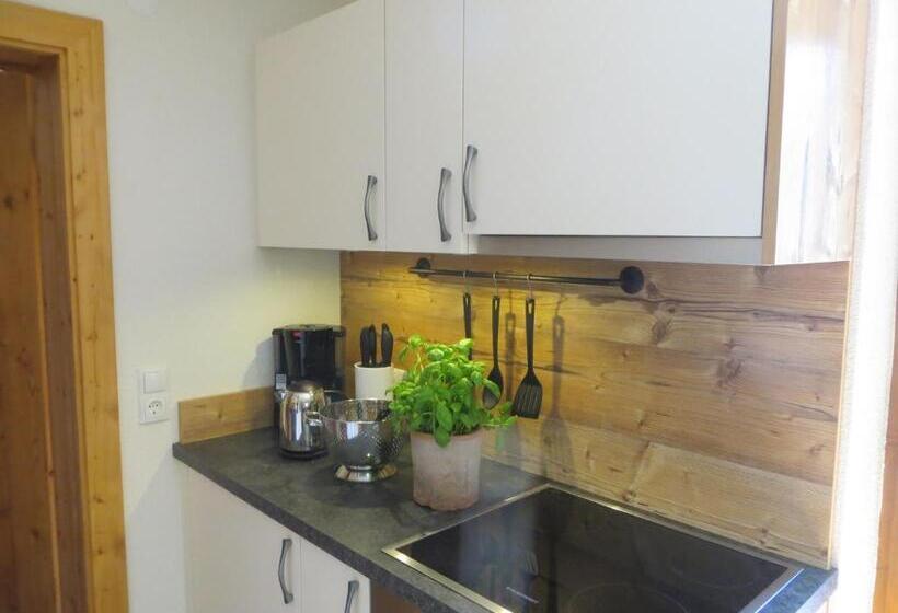 带1个卧室的公寓, Gästehaus Pfister Maria