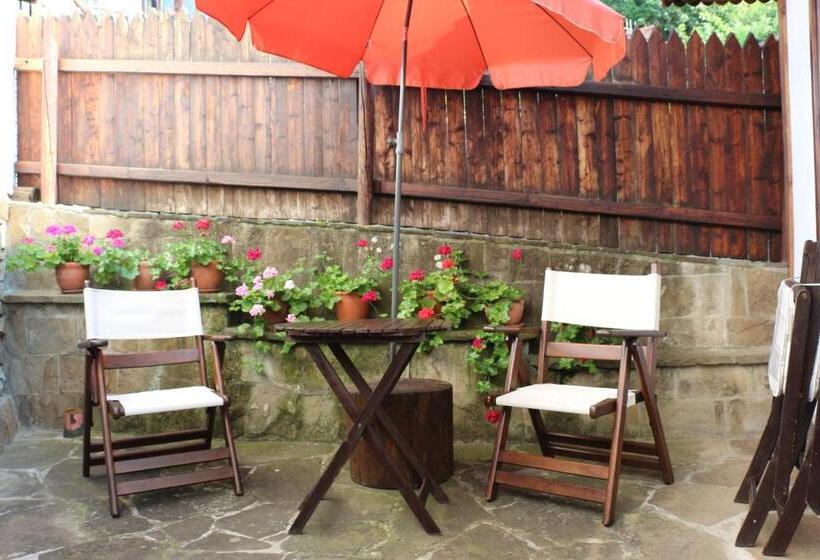 家庭间, Guest House The Old Lovech