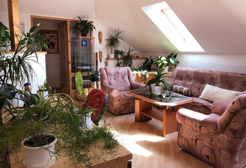 דירת שני חדרים, Penzion Surf