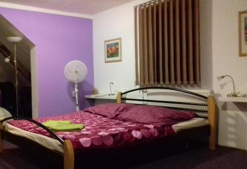 Junior Suite, Penzion Vulture Havířov