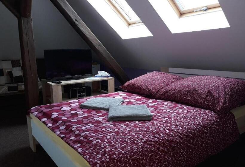 Pokój Deluxe, Penzion Vulture Havířov