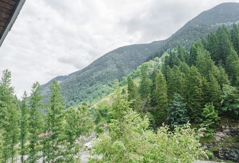 חדר קומפורט לשלושה, Iskalita Otel