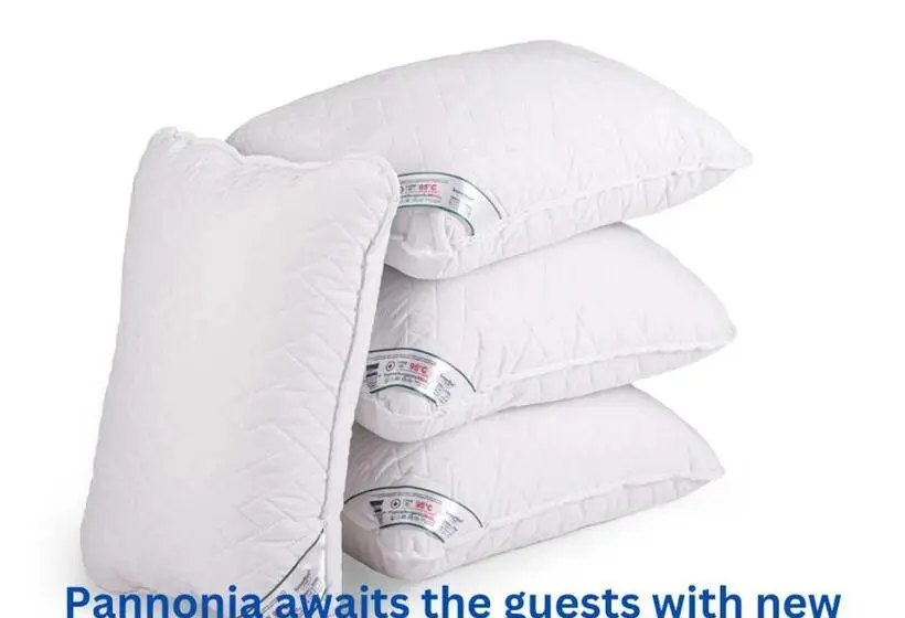 اتاق استاندارد, Pannonia Rooms And Apartments