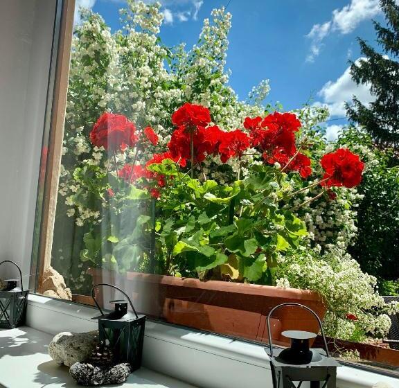 شقة غرفة واحدة, Gyöngyszem Vendégház