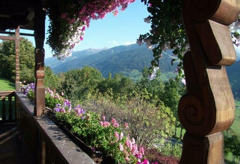 マウンテンビュースタンダードルーム, Landhaus Aigner