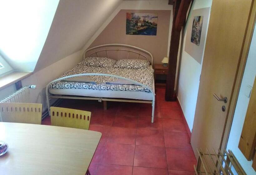 إستوديو قياسى, Penzion U Dvojice