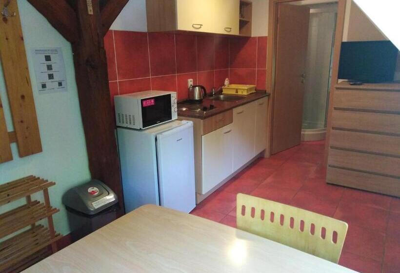 إستوديو قياسى, Penzion U Dvojice