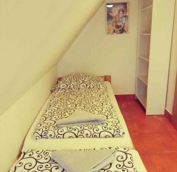 غرفة إقتصادية, Penzion U Dvojice