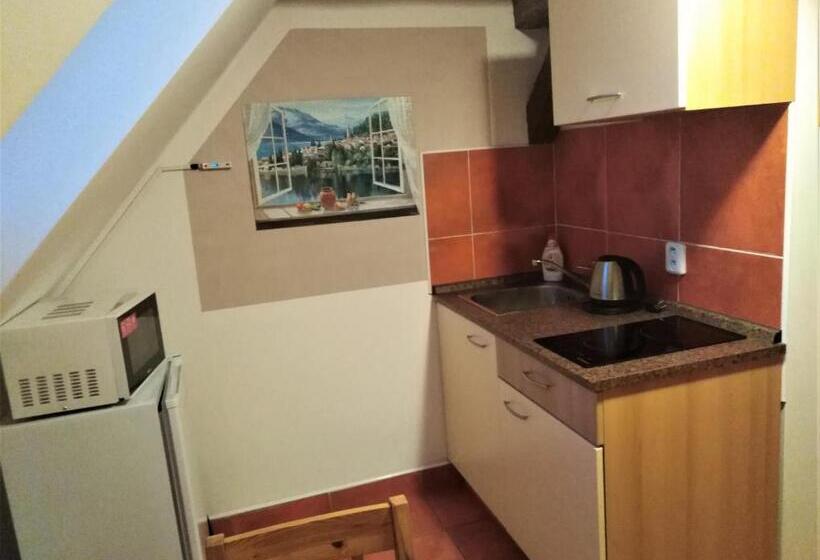 غرفة دوبلكس, Penzion U Dvojice