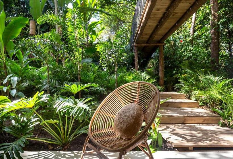 豪华房间, Pousada Seis E Meia