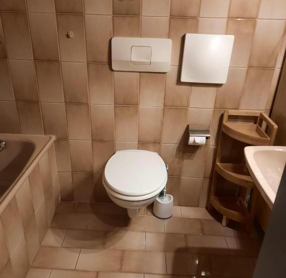 房顶倾斜的标准房间, Rosi`s