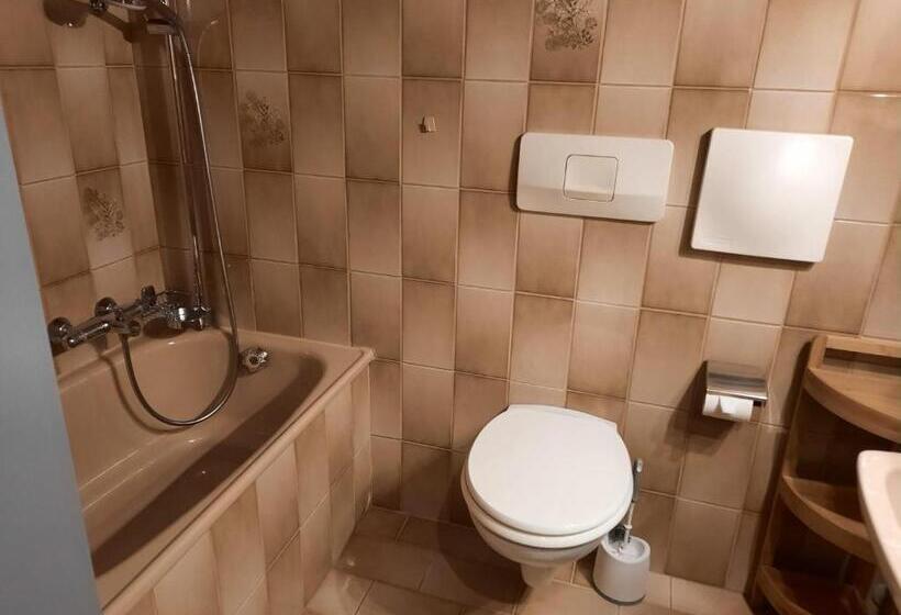 房顶倾斜的标准房间, Rosi`s