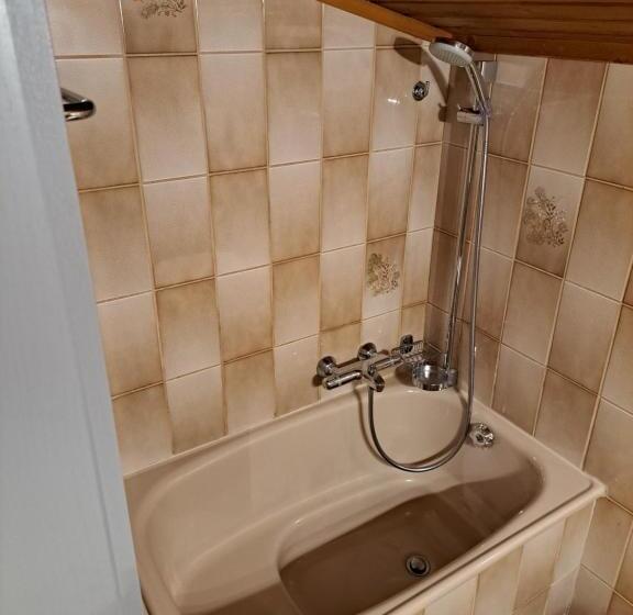 房顶倾斜的标准房间, Rosi`s