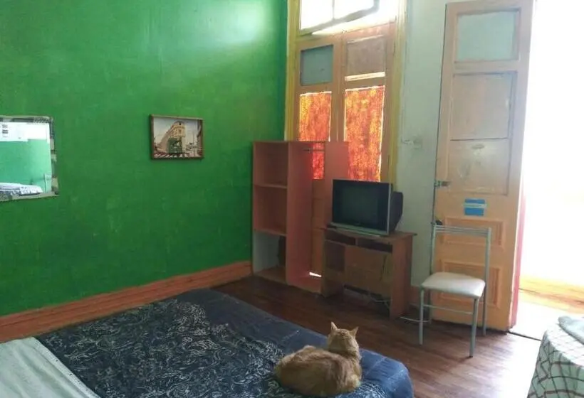 اتاق استاندارد با سرویس بهداشتی مشترک, Hostal Del Gato