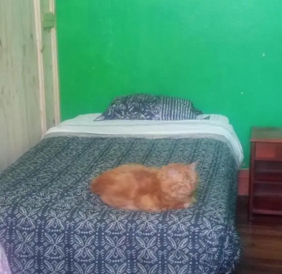 اتاق عادی, Hostal Del Gato