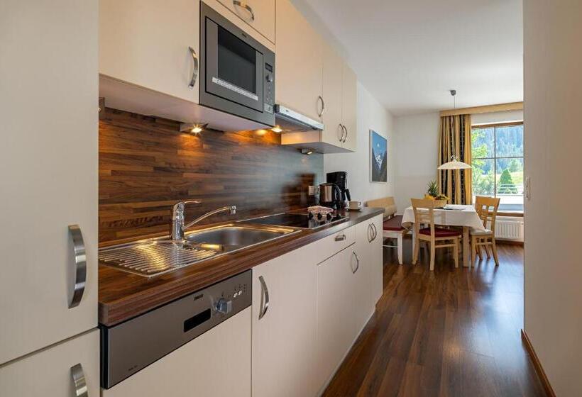 آپارتمان 2 خوابه, Apart Hotel Aurora Fiss