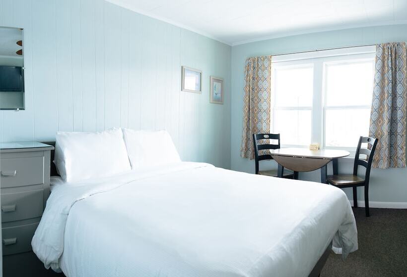 スタンダードルーム, Echo Motel