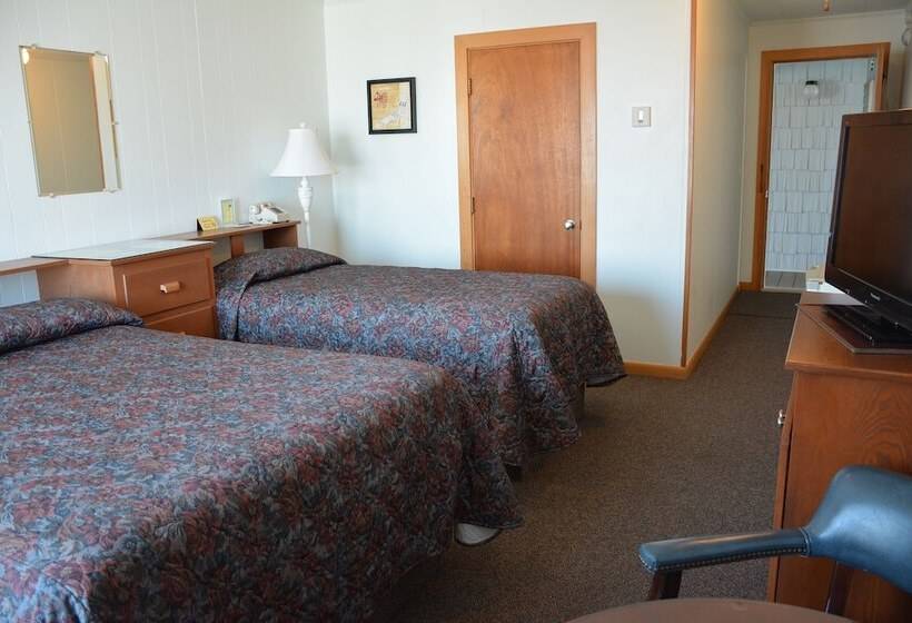 スタンダードルーム, Echo Motel