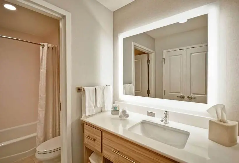 身障者適用スイートルーム, Homewood Suites By Hilton Greenville Downtown