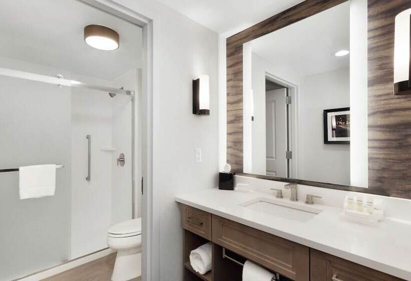 استودیوی استاندارد با تخت دوبل, Homewood Suites By Hilton Providence Downtown