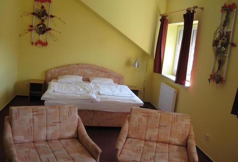 غرفة قياسية, Penzion A Restaurace U Hroznu