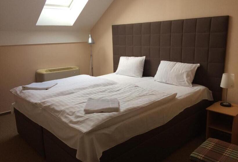 غرفة قياسية, Penzion A Restaurace U Hroznu