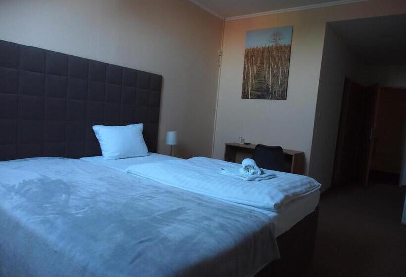 غرفة قياسية, Penzion A Restaurace U Hroznu