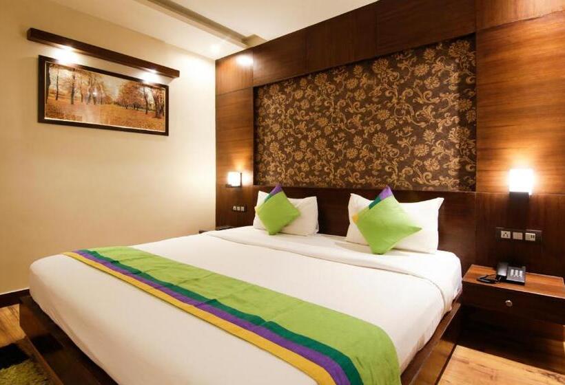 اتاق استاندارد, Treebo Punjabi Nature Residency, Near Faridabad Railway Station