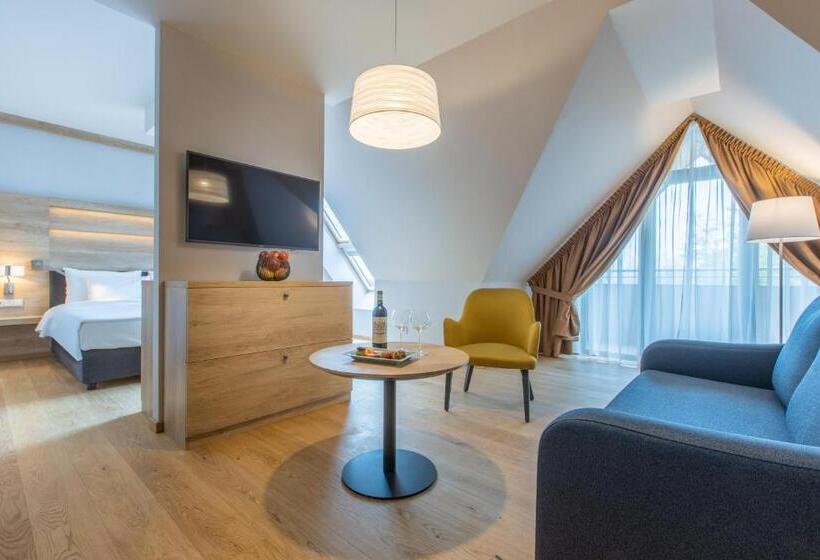 سوئیت جونیور با چشمانداز کوهستان, Radisson Blu Hotel & Residences