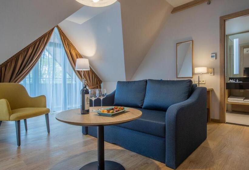 سوئیت جونیور با چشمانداز کوهستان, Radisson Blu Hotel & Residences