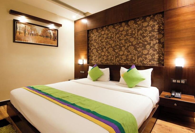 标准间, Treebo Punjabi Nature Residency, Near Faridabad Railway Station