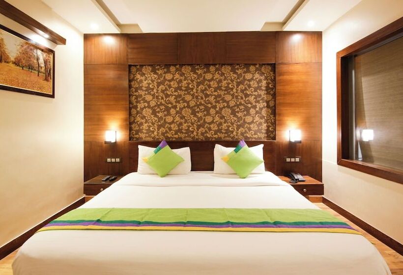 اتاق استاندارد, Treebo Punjabi Nature Residency, Near Faridabad Railway Station