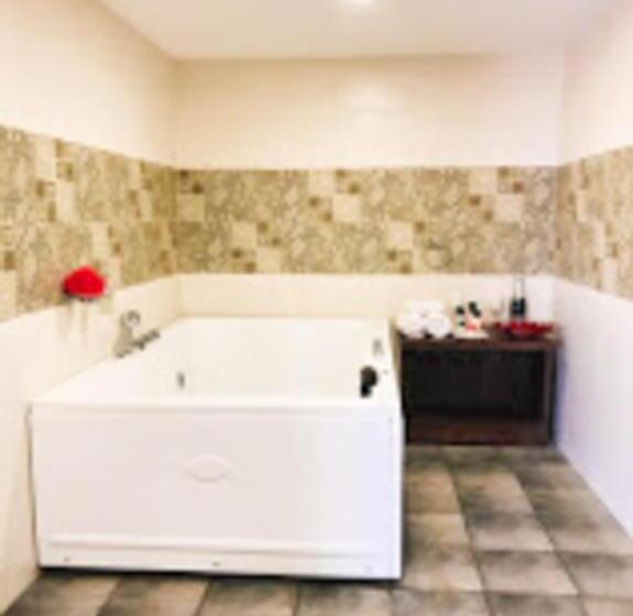 스탠다드 룸 킹사이즈 침대, De Falcon Goa Beach Resort